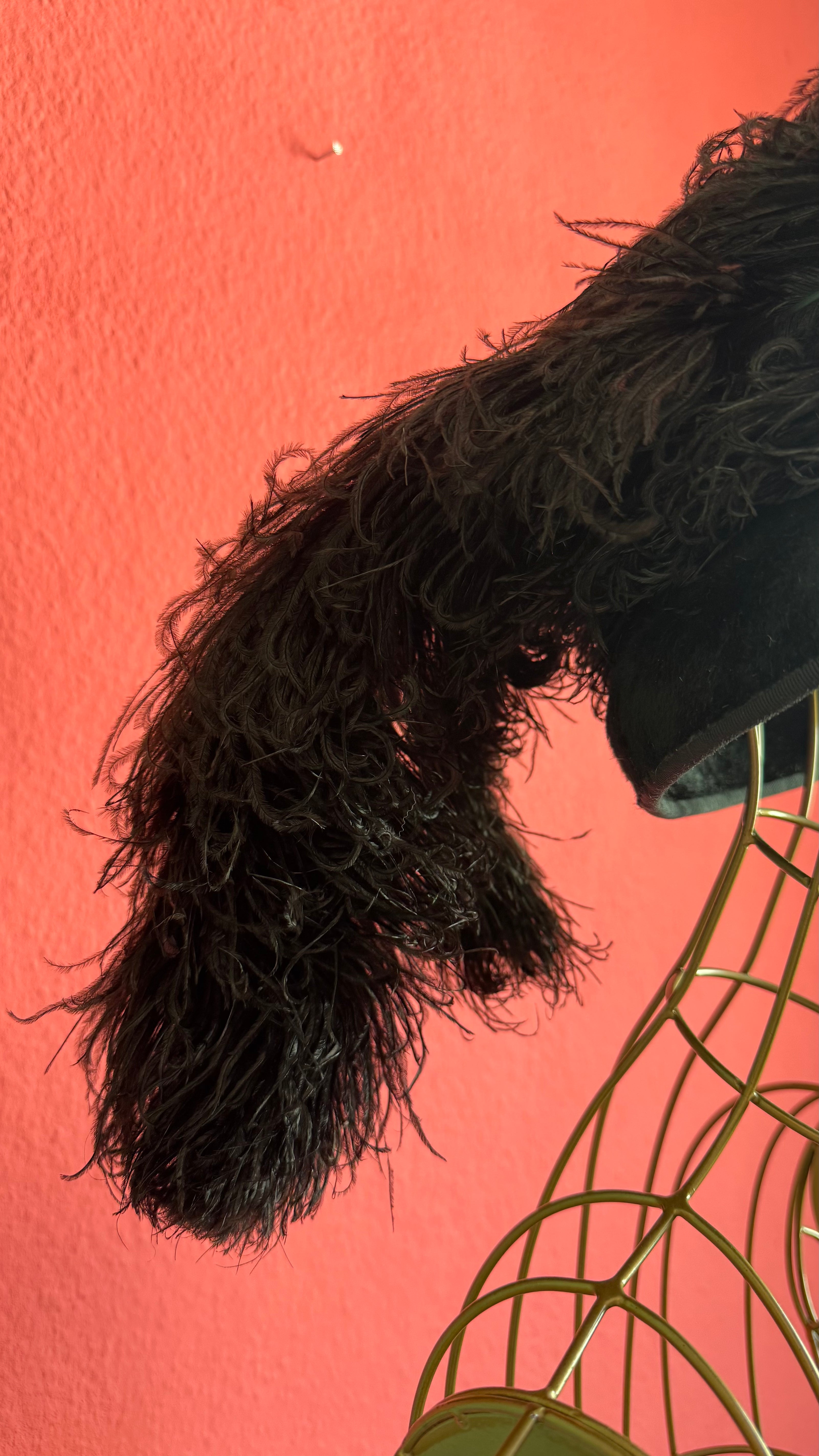 Vintage Estimated 1930s Black Velvet Cloche Hat With Feather Trim